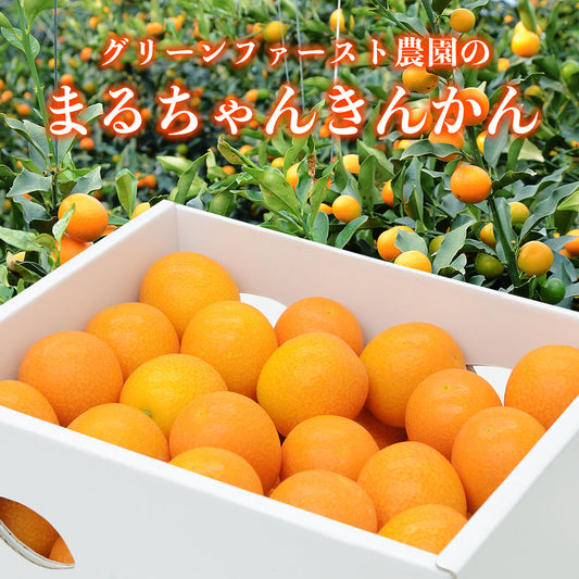 まるちゃんきんかん