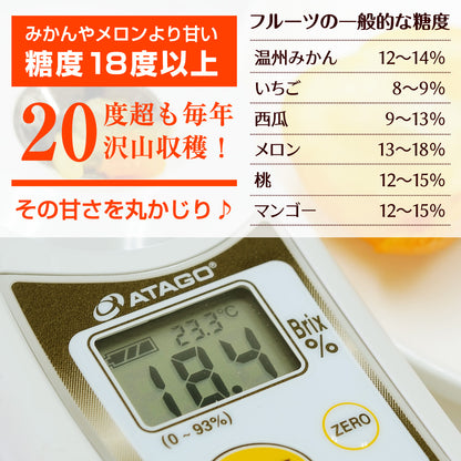 まるちゃんきんかん