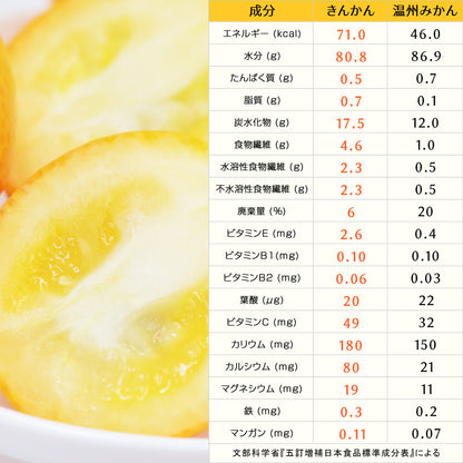 まるちゃんきんかん