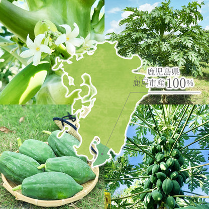 冷凍青パパイヤ千切り