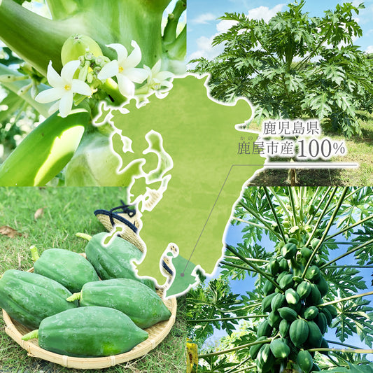 冷凍青パパイヤ千切り